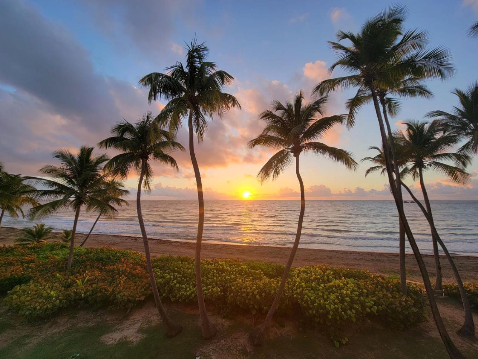 Bv103 - Amazing Oceanfront Condo Steps From Beach Humacao Luaran gambar